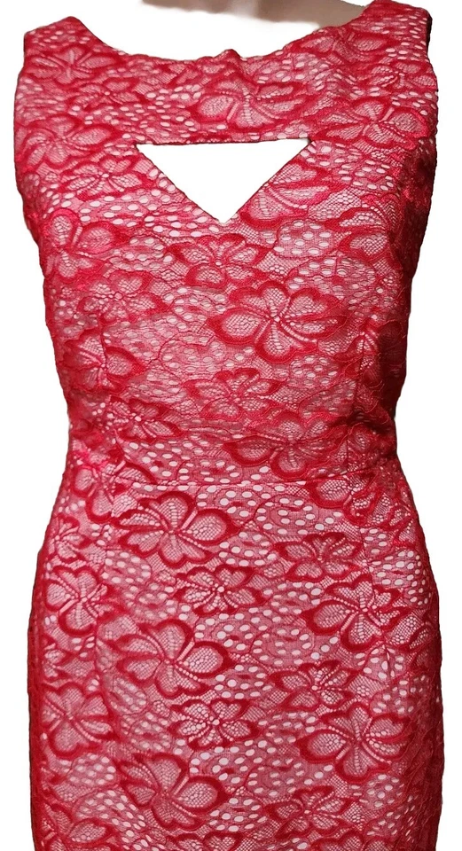 Vestido ajustado vintage Bettie Page by Tatyana de encaje rojo con forro blanco Foto 2 de 4
