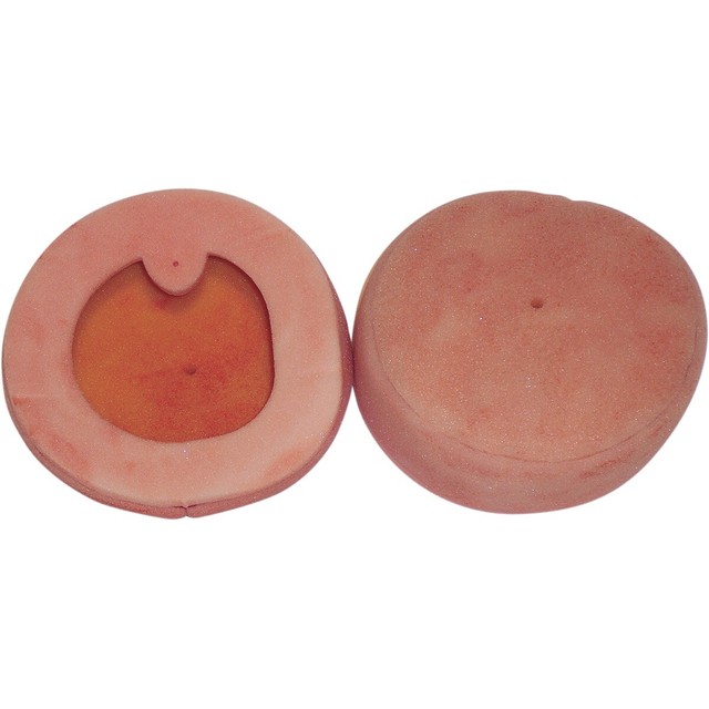 Fast Filters 3816 Fast 3 Air Filter for sale online eBay