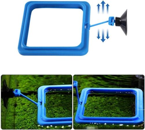 Floating Fish Feeding Ring Suction Cup Feeder for Goldfish & Turtles Black - Picture 4 of 6