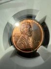 1909 VDB NGC MS 63 RD LINCOLN WHEAT PENNY SMALL CENT 🔥🔥🔥