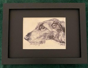 Irish Wolfhound MATTED | FRAMED | READY TO GIFT - 1986 Vintage Dog Art Print