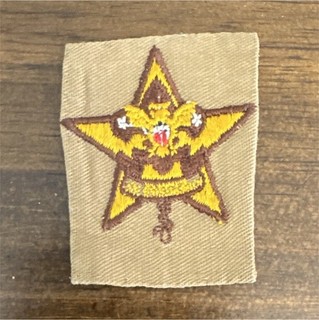 Boy Scouts Vintage Star Rank Insignia Patch Emblem Brown Single Unit Collectible