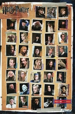 663261 Harry Potter Main Characters Names Headshots Photo Wall Print Poster