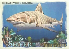 2021 Topps Allen and Ginter Baseball Deep Sea Shiver Insert: Pick from List