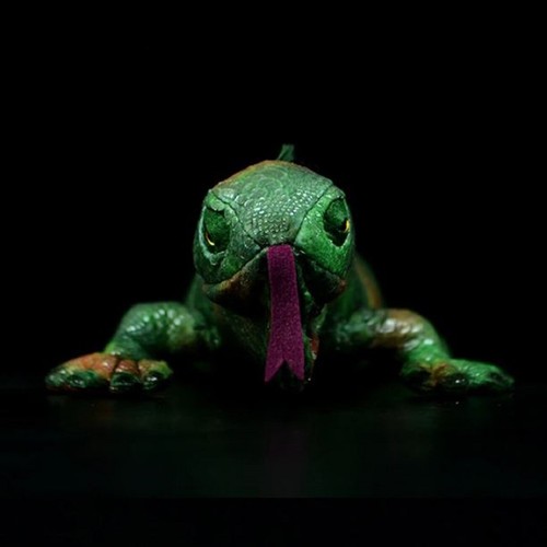 66cm Green Lguana Lizard Cold Blood Plush Toy Stuffed Animal Soft Doll Kids Gift | eBay 66cm Green Lguana Lizard Cold Blood Plush Toy Stuffed Animal Soft Doll Kids Gift | eBay