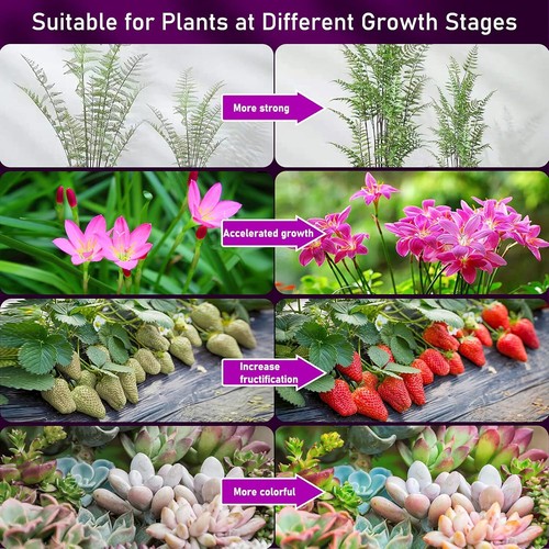 4 Heads Pflanzenwachstumsleuchte LED Vollspektrum Pflanzenlampe 40W Grow Lampe - Bild 10 von 12
