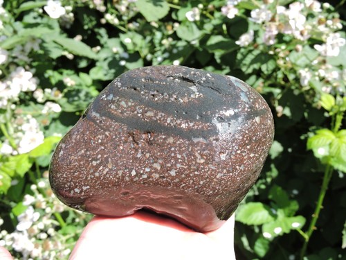 2 ODD Rhyolite Nodule Stones. Agate Galaxy & Conglomerate Rock (2 pounds+ TOTAL) - Picture 3 of 24