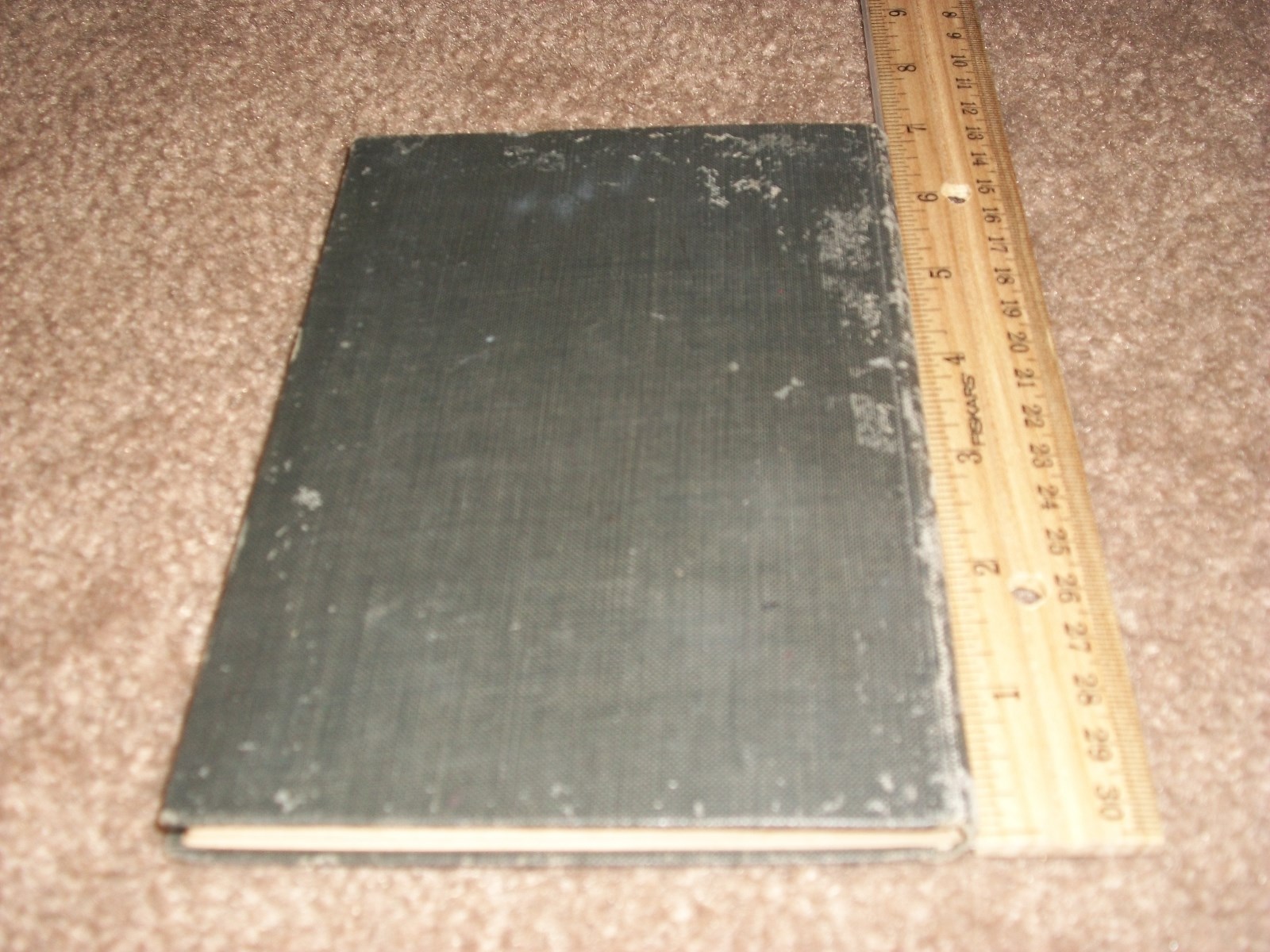 Picture 9 of 9