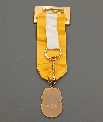 Teamsters Delegate Badge Keyring 6" Gold Yellow Ribbon 1986 Las Vegas Convention image 2
