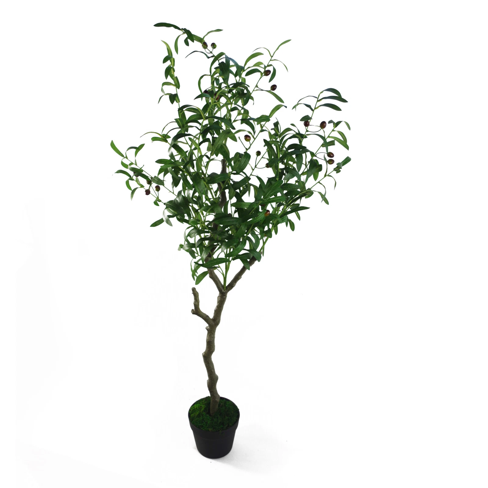 120cm Olive - 40260