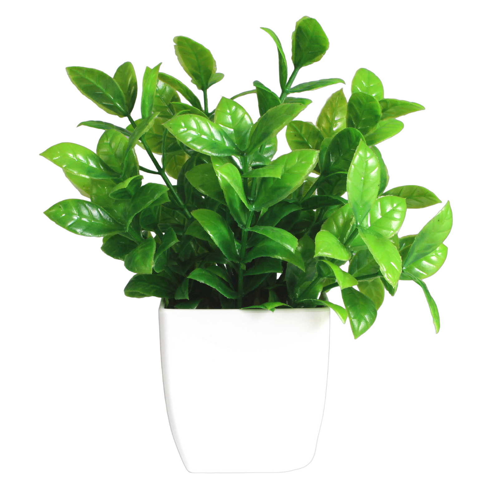 Mini Artificial Bonsai Eucalyptus Tree in Decorative Pot-image