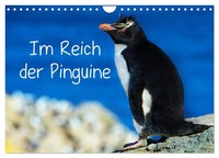 Calendar 2027 · US Version · In The Realm Of The Penguins (Wall Calendar 2027 12
