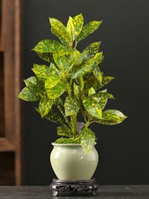 41cm Artificial Mini Ficus Tree, Realistic Tropical Succulent Plant without pot