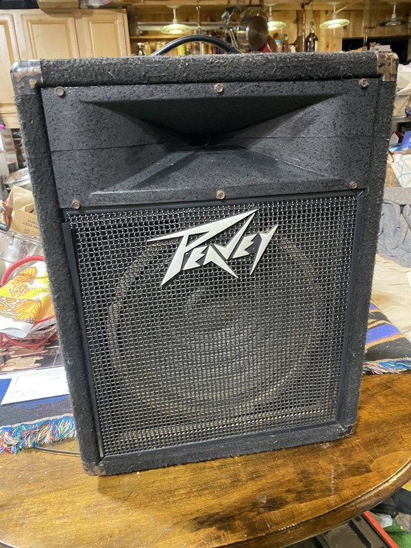 Peavey 112 PS Bi-Amp Loudspeaker -  250W RMS