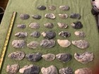 Lot of 58 Atlantic Oyster Shells 2.5 To 4.75 Inch Long Craft Art — photo 3