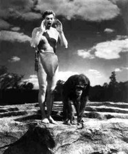Weissmuller Johnny Tarzan Finds a Son z1 A4 Photo Print 10x8