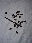 Vintage Marx Sears Alamo Heritage Playset Catwalk Brown Rubber Pins Lot of 18