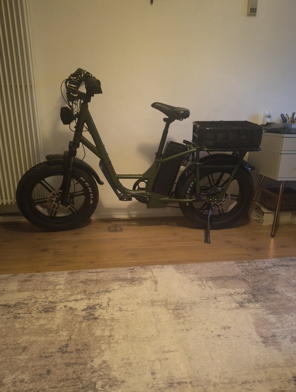 Fiido T1 Pro, Cargo Bike