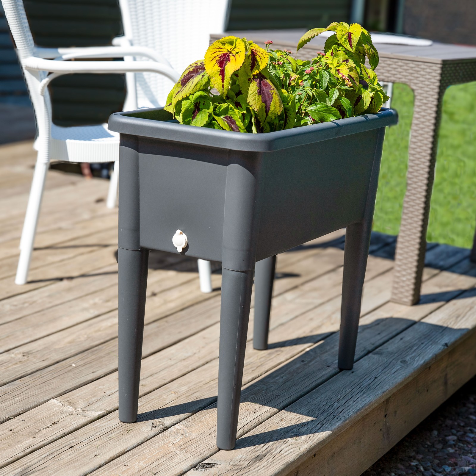 Self-Watering Raised Garden Bed with Cloche Cover by Sunnydaze