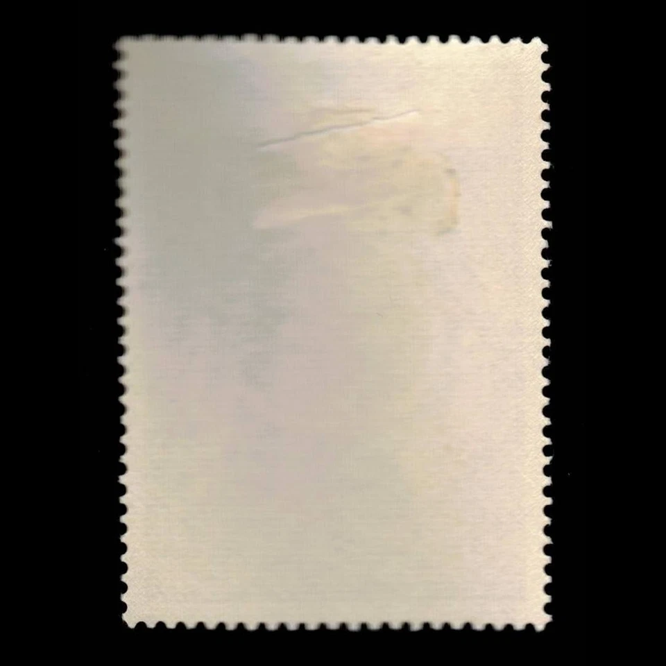 Bután, Scott 11, Guerrero Antiguo, 1963, MH, 111886 Foto 2 de 2