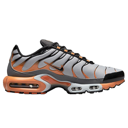 Air Max Plus Wolf Grey27.5cm | eBay