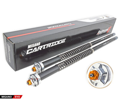 Andreani Einstellbare Misano Evo Kartusche Kit BMW R nine T 2014 > 2023