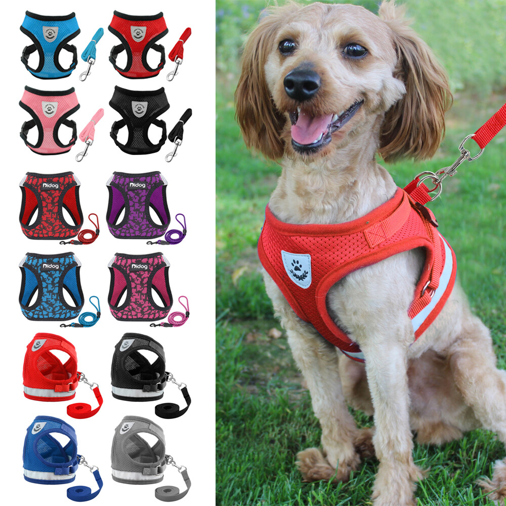 Step-in Air Dog Harness and Leash set Pet Puppy Vest for Small and Meidum  Dogs