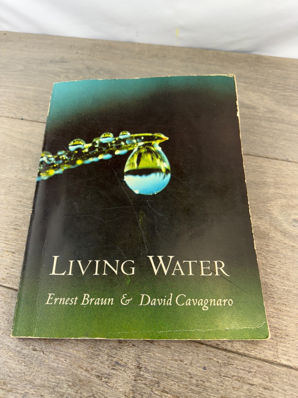 LIVING WATER by David Cavagnaro and Ernest Braun (1971, Hardcover) PHOTOGRAPHY