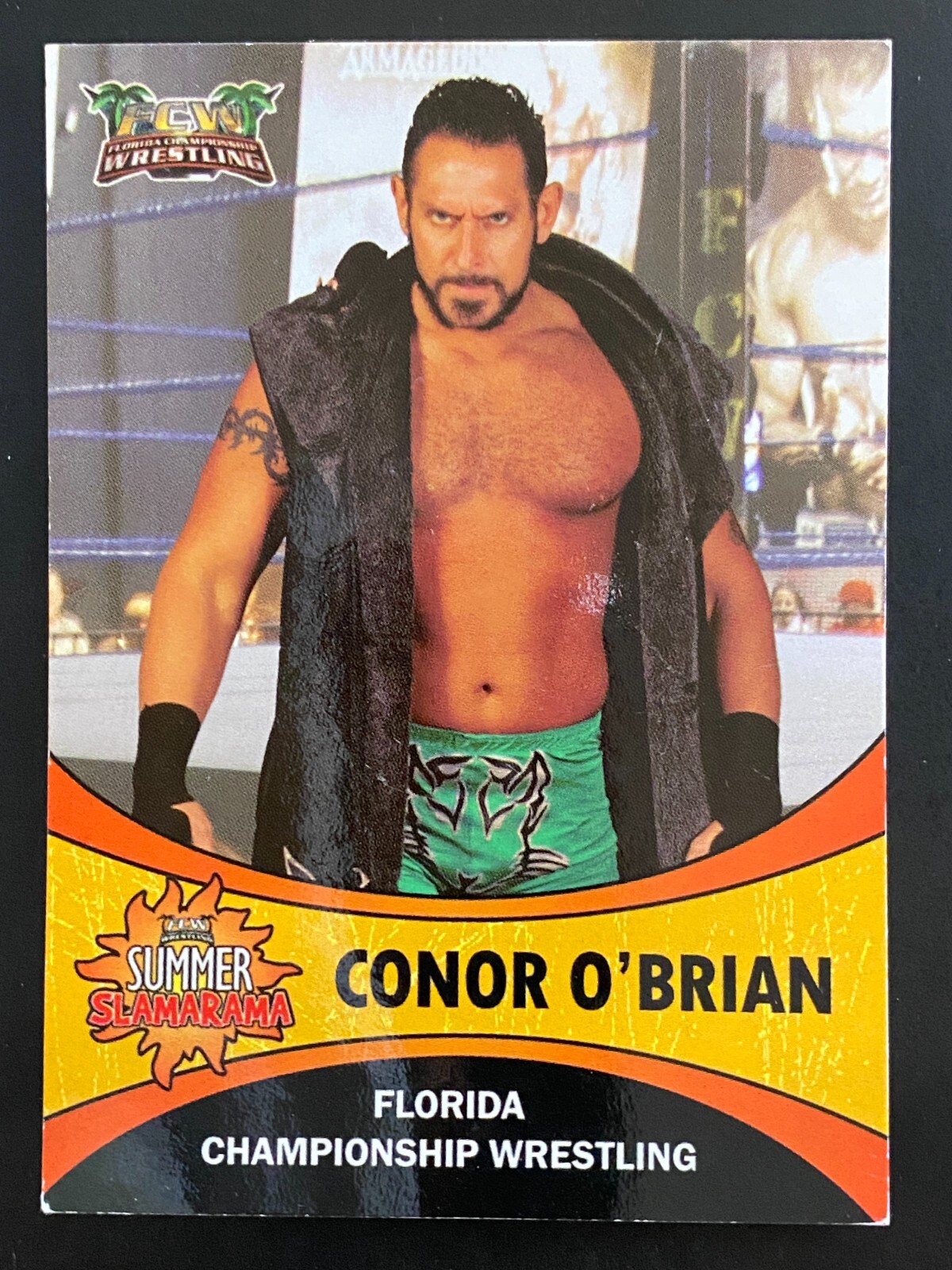 Conor O'Brian 2011 FCW Florida Championship Wrestling Card Summer Slamarama
