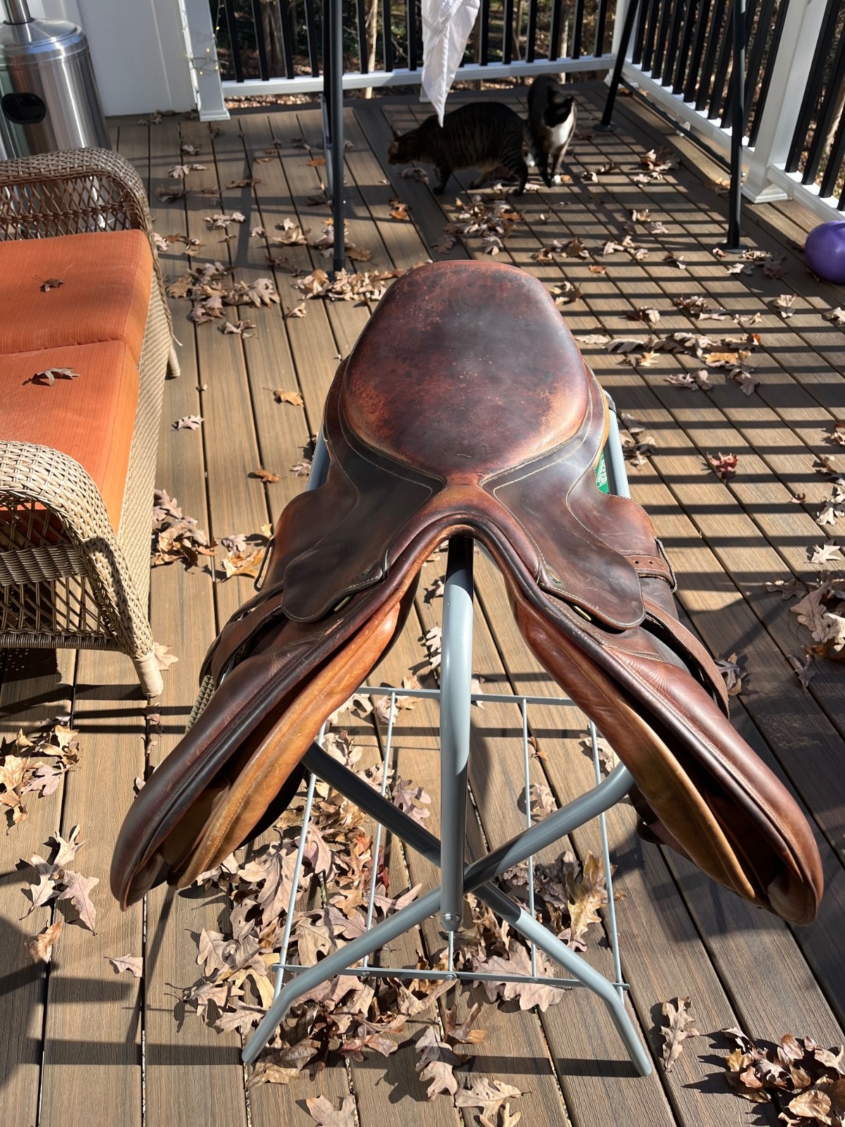 17.5 bates caprilli AP saddle with interchangeable gullet