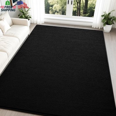 Nuttumico Large Modern Area Rugs for Bedroom Living Room, 5X7 Feet Black Rug, Th