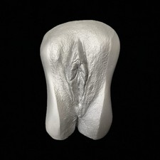 Vagina Gipsabdruck 3D Original Abdruck Silber Vulva Intimabdruck Deko Kunst