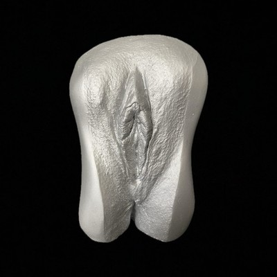 Vagina Gipsabdruck 3D Original Abdruck Silber Vulva Intimabdruck Deko Kunst