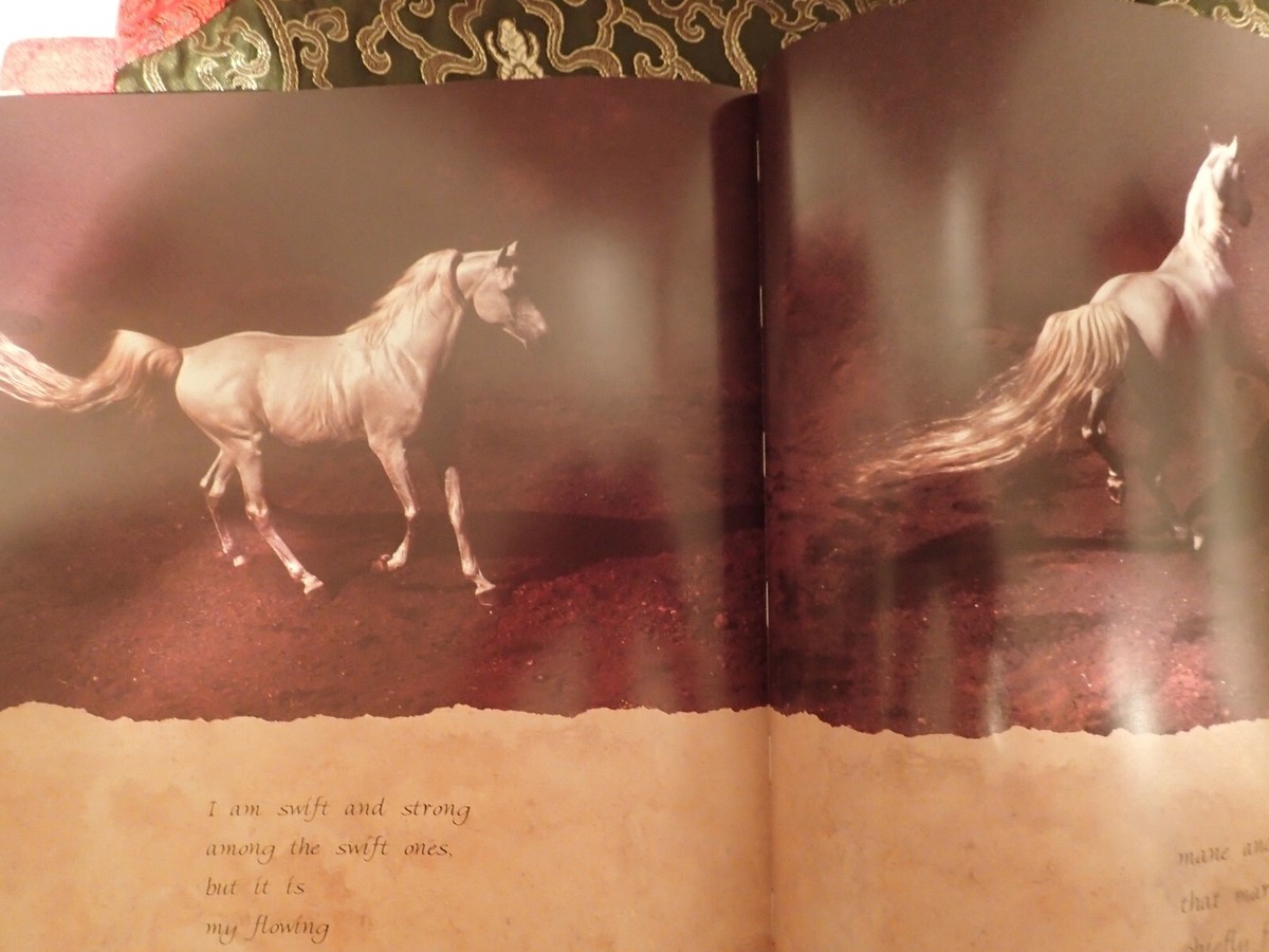 Horses of the Sun ロバート・ヴァヴラ Robert Vavra - Horses of the Sun - Signed(somewhat uniquely