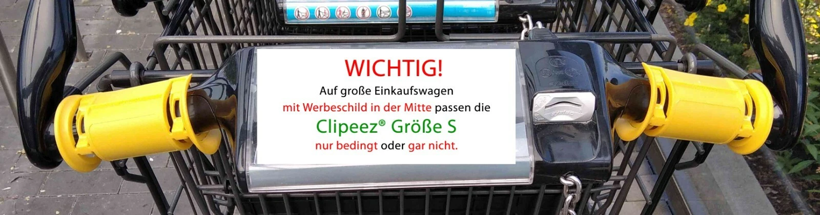 Bild 5 von 10