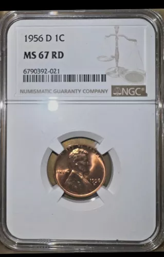 1956-D Lincoln Wheat Cent 1C NGC MS 67 RD - Nice Lustrous Red Coin