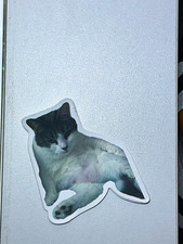 Cat sticker