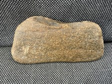 Fossil Whale Bone Section Unidentified sp, North Sea, UK Specimen Rare !