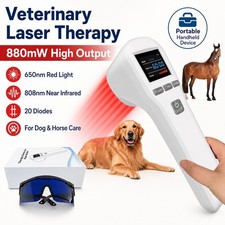 Low Level Light Laser Therapy For Arthritis Pain 650nm 808nm Laser for Human/Vet