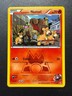 2015 Pokemon TCG XY Double Crisis -Team Magma's Numel- Common 1/34
