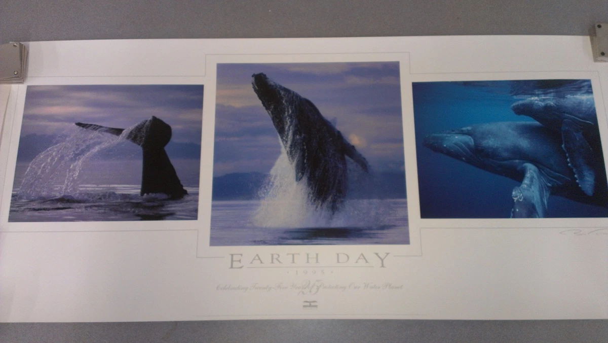 Bob Talbot Indiana Art Prints for sale | eBay