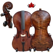 Special Offer Surprisingly song master Cello 4/4, Best whole back 16031