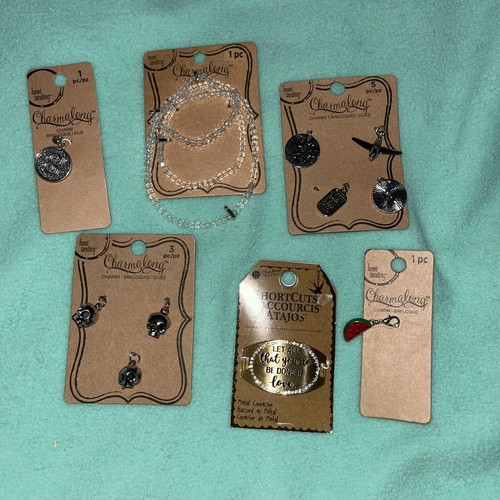 Bead landing charm lot of 6 , Skulls , Miscellaneous