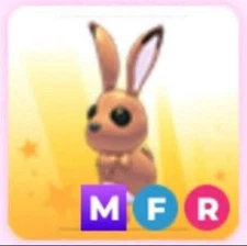 Adopt Hare Mega Fly Ride MFR Hare Adopt Roblox