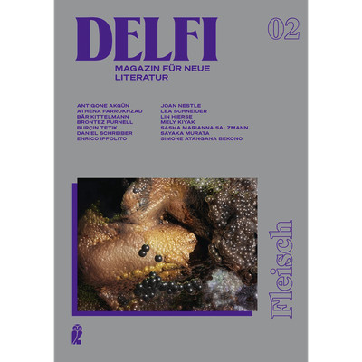 Delfi Fleisch: Magazin für neue Literatur | Sie glaubten etwa, Literaturzei ...