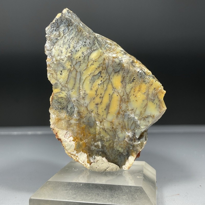 SS Rocks - Yellow Dendritic Opal (Australia) 53g