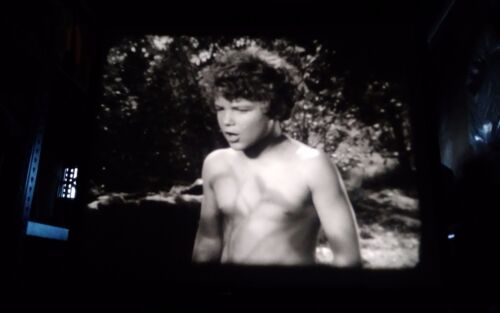 16mm Film – Tarzan's Secret Treasure 1941 Johnny Weissmuller - Foto 14 di 14