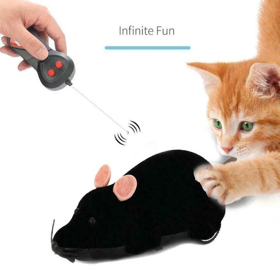 Remote cat cheap toys