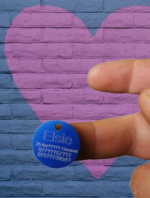 Personalised cat and dog Engraved ID picture and Identification bling for pets - Image 3 of 4