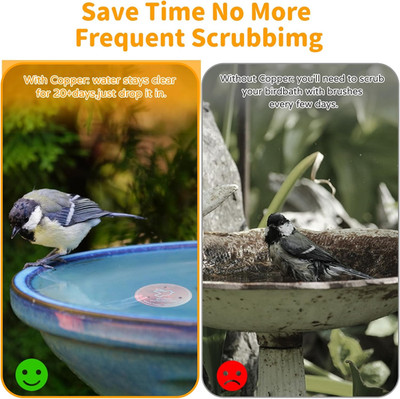 3 Stück Vogeltränke Kupferscheibe, Vogeltränke Reinigungsscheibe zur körperlichen Reinigung W...